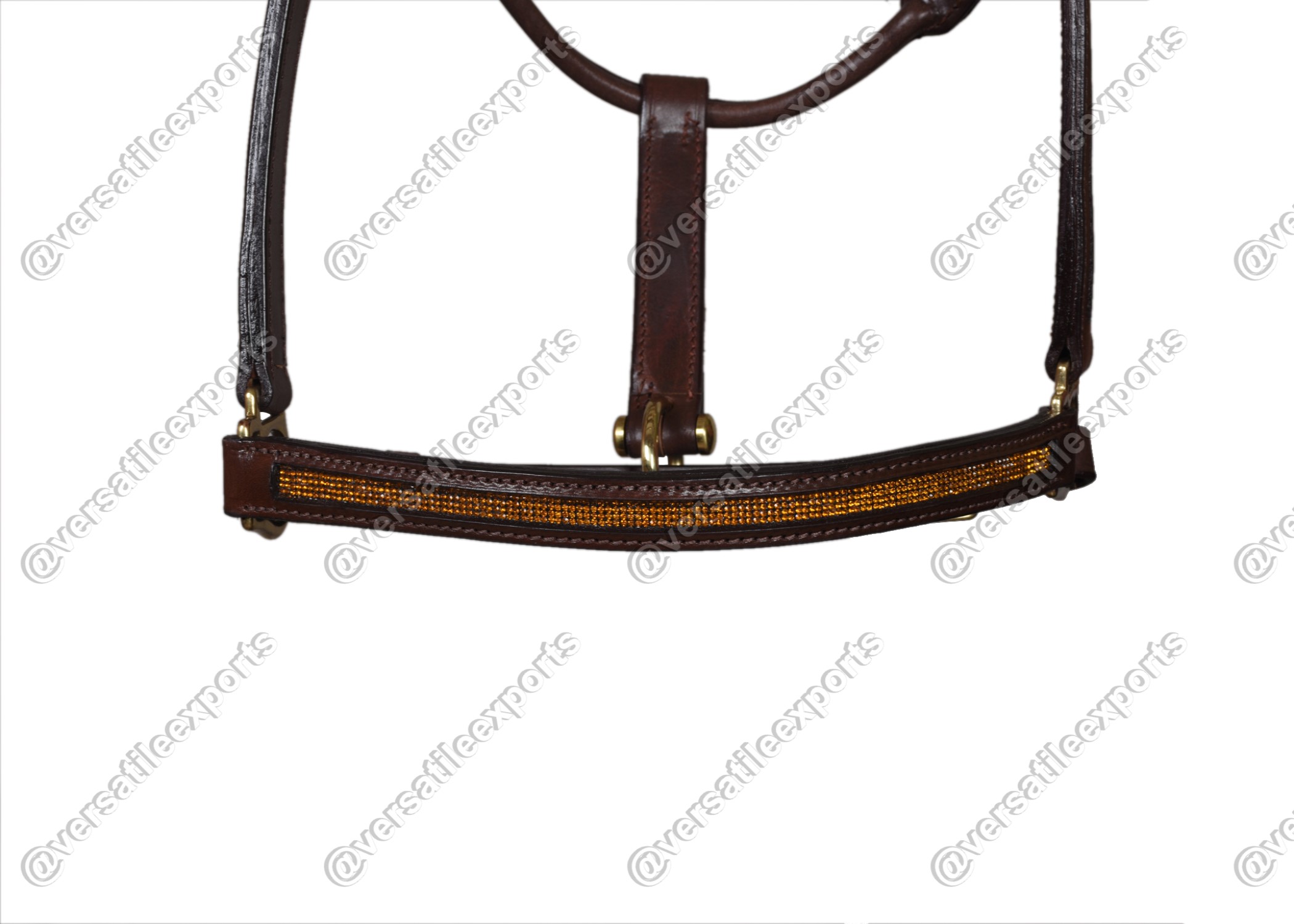 Halter Shiny